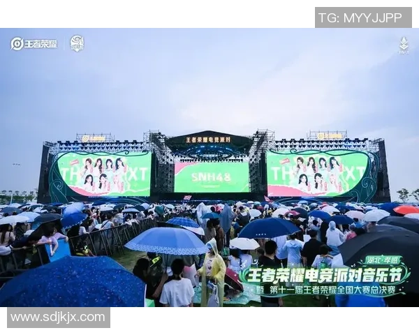 王者荣耀盛宴揭秘RNG战队如何掌控比赛节奏与策略